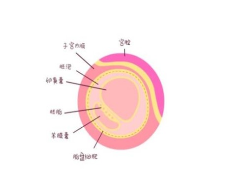 前壁下怀孕妇注意事项一览，附三种缓解不适的方法