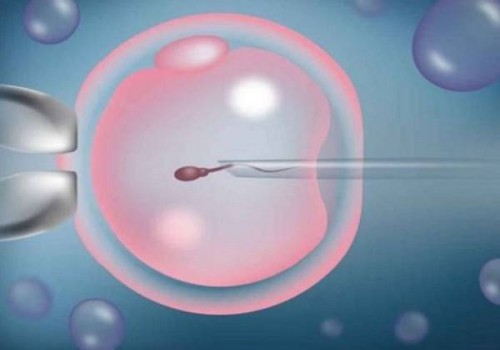 2022不孕女性在做试管婴儿时冷冻胚胎和胚胎解冻要花多少钱呢-